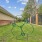 outside greenery for dogs 