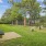outside greenery for dogs 